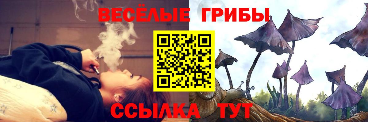Галлюциногенные грибы мицелий  даркнет сайт  Черняховск  Вход с VPN 