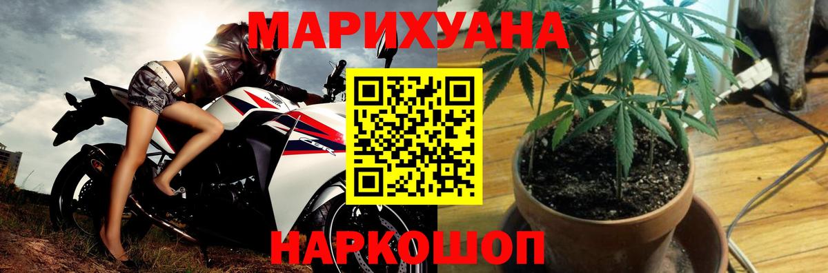 Канабис MAZAR  Бошки марихуана планчик  Шишки марихуана тримм  Черняховск  Вход с VPN 